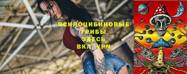 амф Дмитров